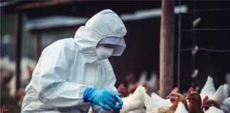 Europe Faces Early and Rapid Surge of Bird Flu Outbreaks as Countries Tighten Controls