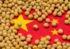 China Navigates Soybean Supply Amid High Brazilian Premiums and Trade Tensions