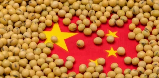 China Navigates Soybean Supply Amid High Brazilian Premiums and Trade Tensions