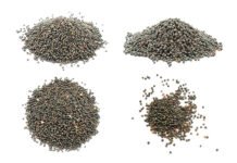 India Emerges as Top Rapeseed Meal Supplier to China Amid Canadian Tariffs