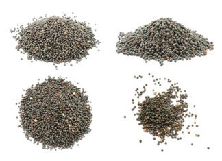 India Emerges as Top Rapeseed Meal Supplier to China Amid Canadian Tariffs