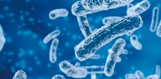 Towards Reduced Antibiotic Usage in Poultry Production: How Can Probiotics Help?