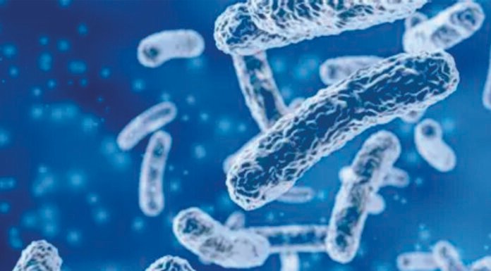 Towards Reduced Antibiotic Usage in Poultry Production: How Can Probiotics Help?