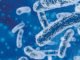 Towards Reduced Antibiotic Usage in Poultry Production: How Can Probiotics Help?