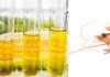 Animal Feed Industry Faces Pressure from Ethanol and Shrimp Tariff Challenges