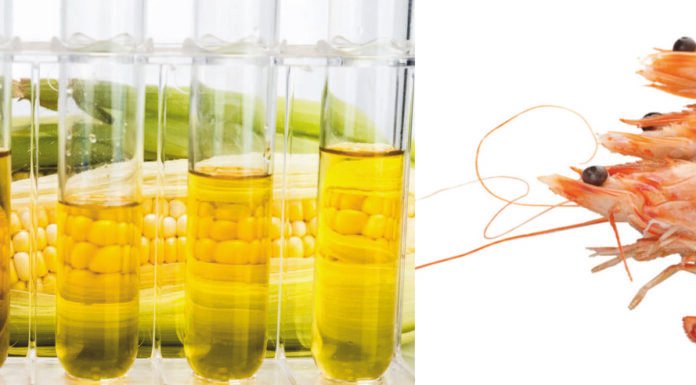 Animal Feed Industry Faces Pressure from Ethanol and Shrimp Tariff Challenges