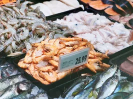 Shrimp Squeeze: India’s Seafood Industry Struggles Under New US Tariffs