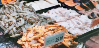 Shrimp Squeeze: India’s Seafood Industry Struggles Under New US Tariffs