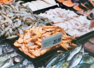 Shrimp Squeeze: India’s Seafood Industry Struggles Under New US Tariffs