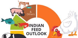 Japfa India on Navigating Market Challenges and Scaling Feed Operations