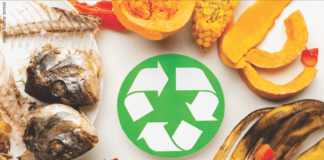 R&D Spotlight: Transforming Waste into Protein-Rich Animal Feed