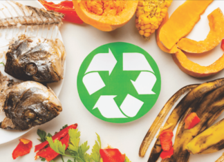 R&D Spotlight: Transforming Waste into Protein-Rich Animal Feed