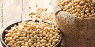 Non-GMO Advantage Drives India’s October Soymeal Export Growth