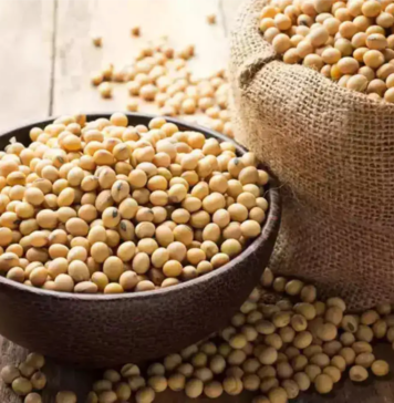 Non-GMO Advantage Drives India’s October Soymeal Export Growth