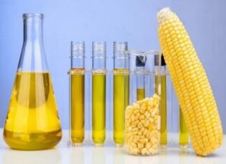 Maize Supply Sufficient to Meet Ethanol and Feed Demand, Government Tells Parliament