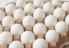FSSAI Confirms Eggs in India Are Safe for Consumption