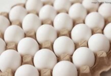 FSSAI Confirms Eggs in India Are Safe for Consumption