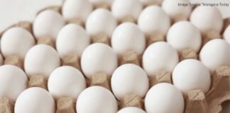 FSSAI Confirms Eggs in India Are Safe for Consumption