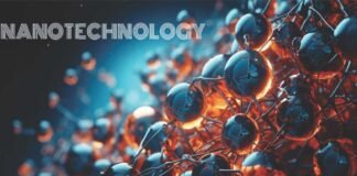 Applications and Impacts of Nanotechnology in Poultry Nutrition