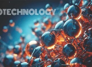 Applications and Impacts of Nanotechnology in Poultry Nutrition