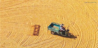 China Update: NDRC to Boost Grain Production with Focus on Corn and Soybeans