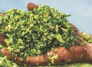 Transforming Forage Nutrition: Advances in Silage Additives for Enhanced Preservation and Feed Quality