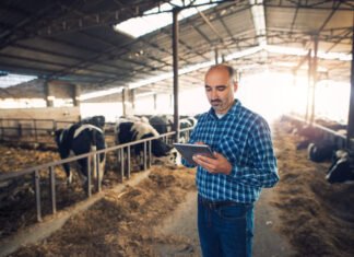 India’s Dairy Sector Embraces Digital Tech to Boost Efficiency and Farmer Welfare