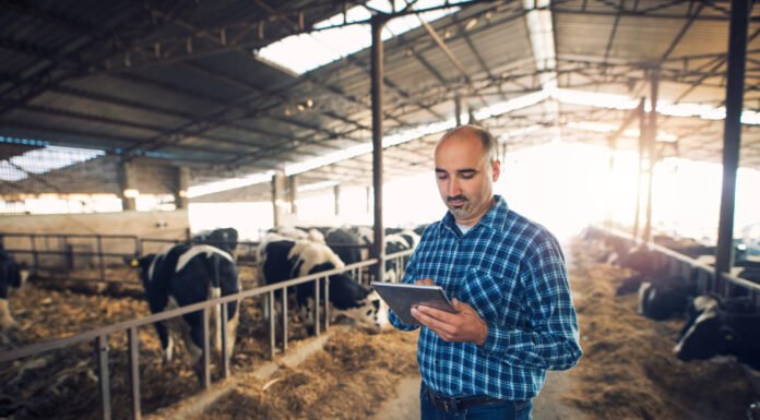 India’s Dairy Sector Embraces Digital Tech to Boost Efficiency and Farmer Welfare