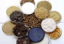 Feed Formulation Intelligence: The Invisible Driver of Milk, Fertility, and ROFC