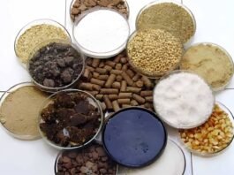 Feed Formulation Intelligence: The Invisible Driver of Milk, Fertility, and ROFC