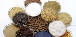 Feed Formulation Intelligence: The Invisible Driver of Milk, Fertility, and ROFC