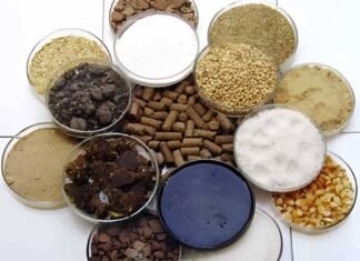 Feed Formulation Intelligence: The Invisible Driver of Milk, Fertility, and ROFC