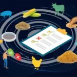 Structural Shifts Reshape India’s Feed, Poultry, and Dairy Landscape