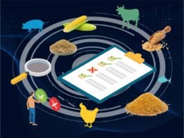 Structural Shifts Reshape India’s Feed, Poultry, and Dairy Landscape