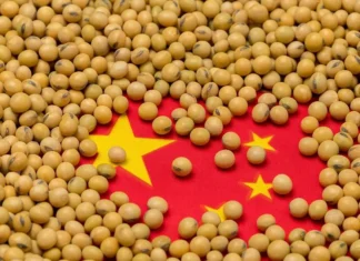 China’s 2025 Soybean Imports Rise 6.5% to 111.8 Million Tons