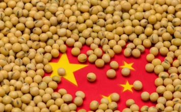 China’s 2025 Soybean Imports Rise 6.5% to 111.8 Million Tons