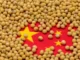 China’s 2025 Soybean Imports Rise 6.5% to 111.8 Million Tons