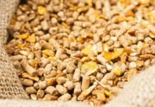 Strategic framework to boost poultry production by cost-effective feed formulations, integrated farm practices and disease control in India