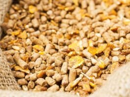 Strategic framework to boost poultry production by cost-effective feed formulations, integrated farm practices and disease control in India