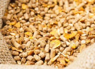 Strategic framework to boost poultry production by cost-effective feed formulations, integrated farm practices and disease control in India