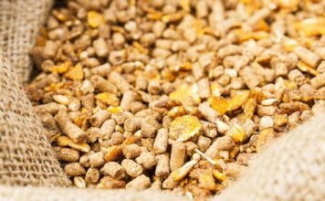 Strategic framework to boost poultry production by cost-effective feed formulations, integrated farm practices and disease control in India