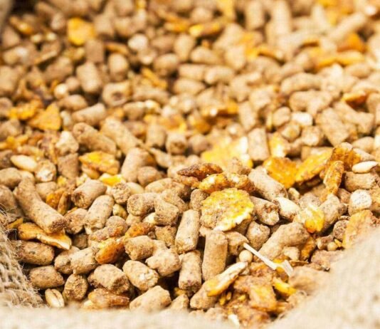 Strategic framework to boost poultry production by cost-effective feed formulations, integrated farm practices and disease control in India