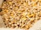 Strategic framework to boost poultry production by cost-effective feed formulations, integrated farm practices and disease control in India