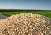 Bayer and ADM Extend Partnership to Support 100,000 Soybean Farmers in Maharashtra