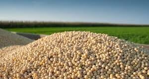 Bayer and ADM Extend Partnership to Support 100,000 Soybean Farmers in Maharashtra