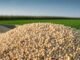Bayer and ADM Extend Partnership to Support 100,000 Soybean Farmers in Maharashtra