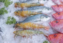 Indian Seafood Exports to US Set to Halt as Tariff Blow Freezes New Orders