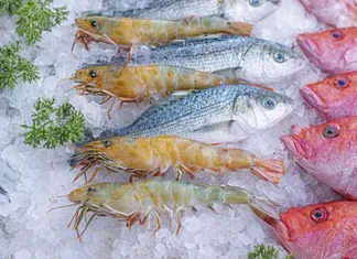 Indian Seafood Exports to US Set to Halt as Tariff Blow Freezes New Orders