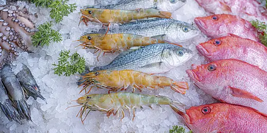 pngtree-a-variety-of-seafood-is-on-display-including-shrimp-octopus-and-image_17662829