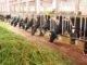 Kerala to Launch High-Tech Centre for Indigenous Cattle Breeding and Milk Self-Sufficiency